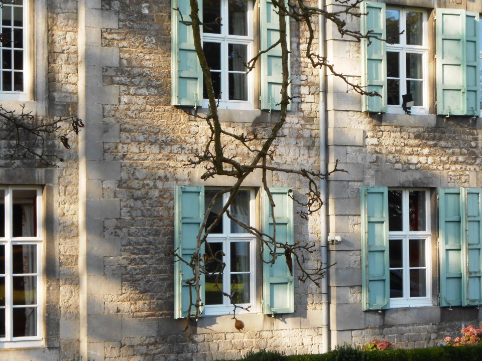 Châssis en PVC mouluré blanc à l'identique avec détail esthétique représentant une fleur