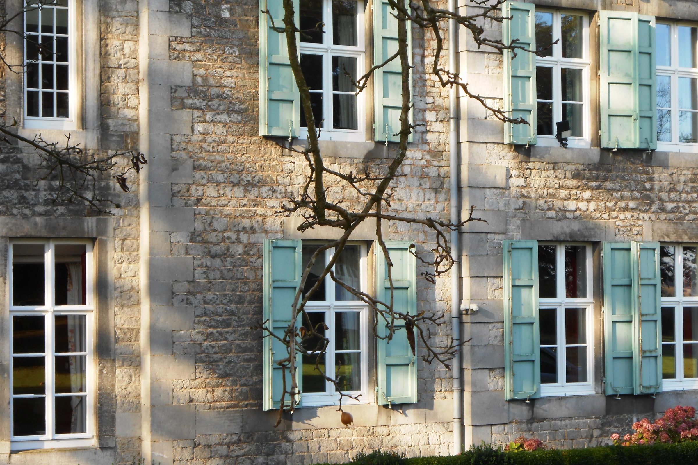 Châssis en PVC mouluré blanc à l'identique avec détail esthétique représentant une fleur